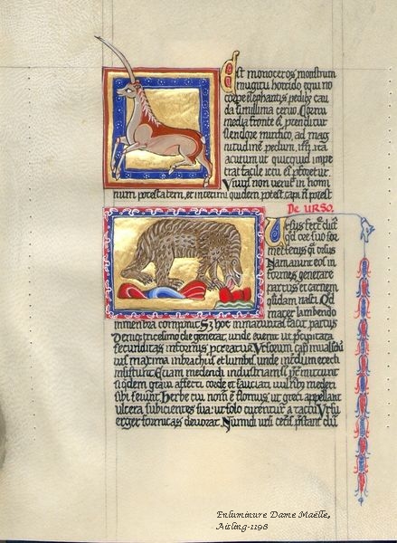 bestiaire-aberdeen-f15r-aisling-1198-150