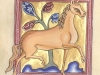 cheval-ashmole-ms1511-f032v-aisling-1198-150-det