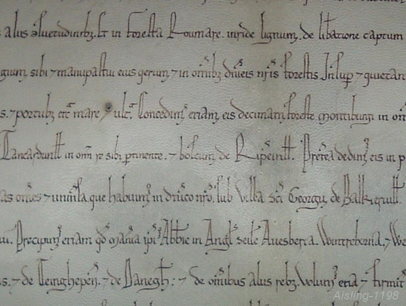 Reconstitution par dame Maëlle, Aisling-1198, d'une charte de St Georges de Boscherville